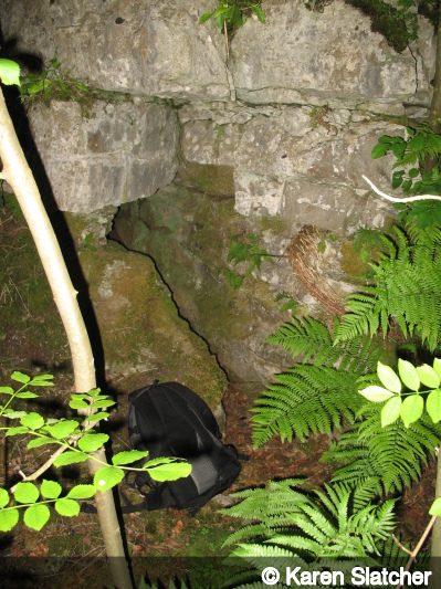 Entrance of Tyre Pit Quarry Cave 1