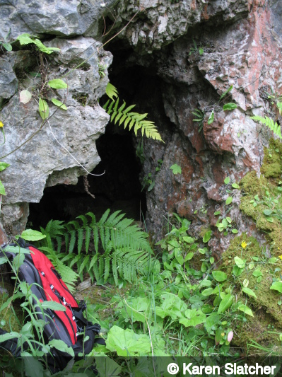 Entrance of Tyre Pit Quarry Cave 2