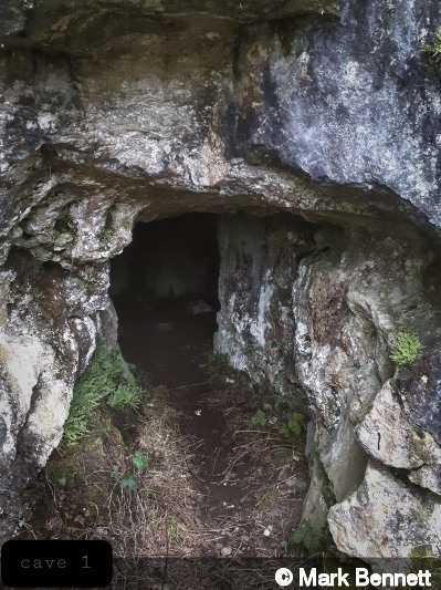 Entrance of Fallgate Cave No 1