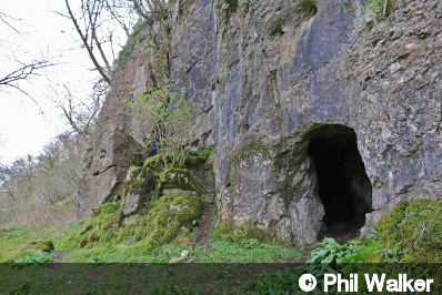 Entrance of Fallgate Cave No 2