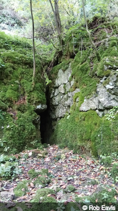 Entrance of Nickergrove Mine, Adit Entrance