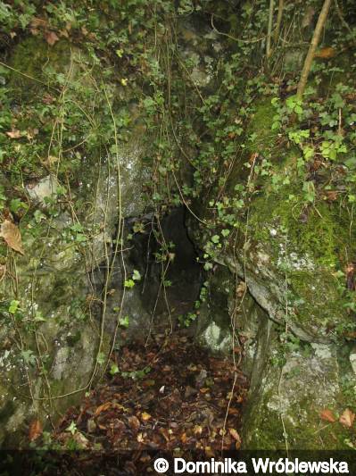 Entrance of Cave Dale Cave No  1a