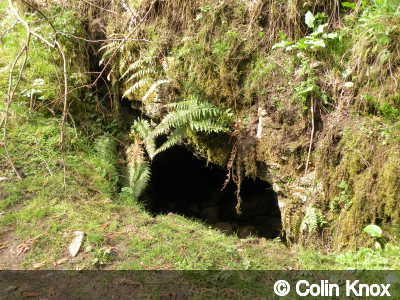 Entrance of Cales Dale Cave (lower)