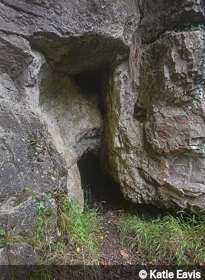 Entrance of Middleton Dale Mine Level 10