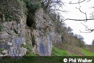 Entrance of Fallgate Cave No 3