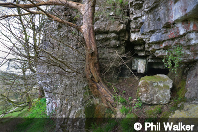 Entrance of Fallgate Cave No 4