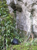  7. Tall open cave in crag next to Ilam Rock / Entrance