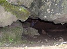 Fox Cub Cave / Entrance
