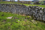 Michill Bank Spring / Issues from slab