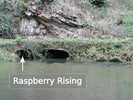 Ilam Risings, Raspberry Rising / Entrance